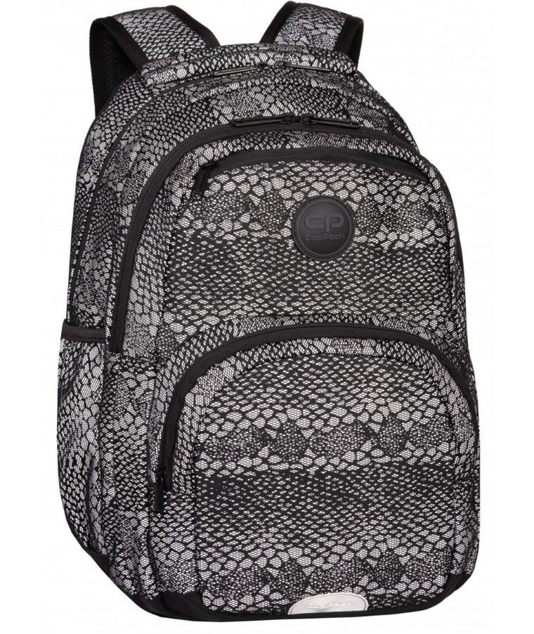 CoolPack, Pick, plecak szkolny, 2-komorowy, Flesh Dragon