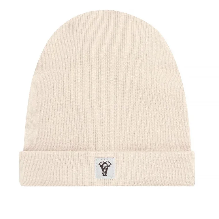 Czapka chłopięca, beżowa, Pinokio