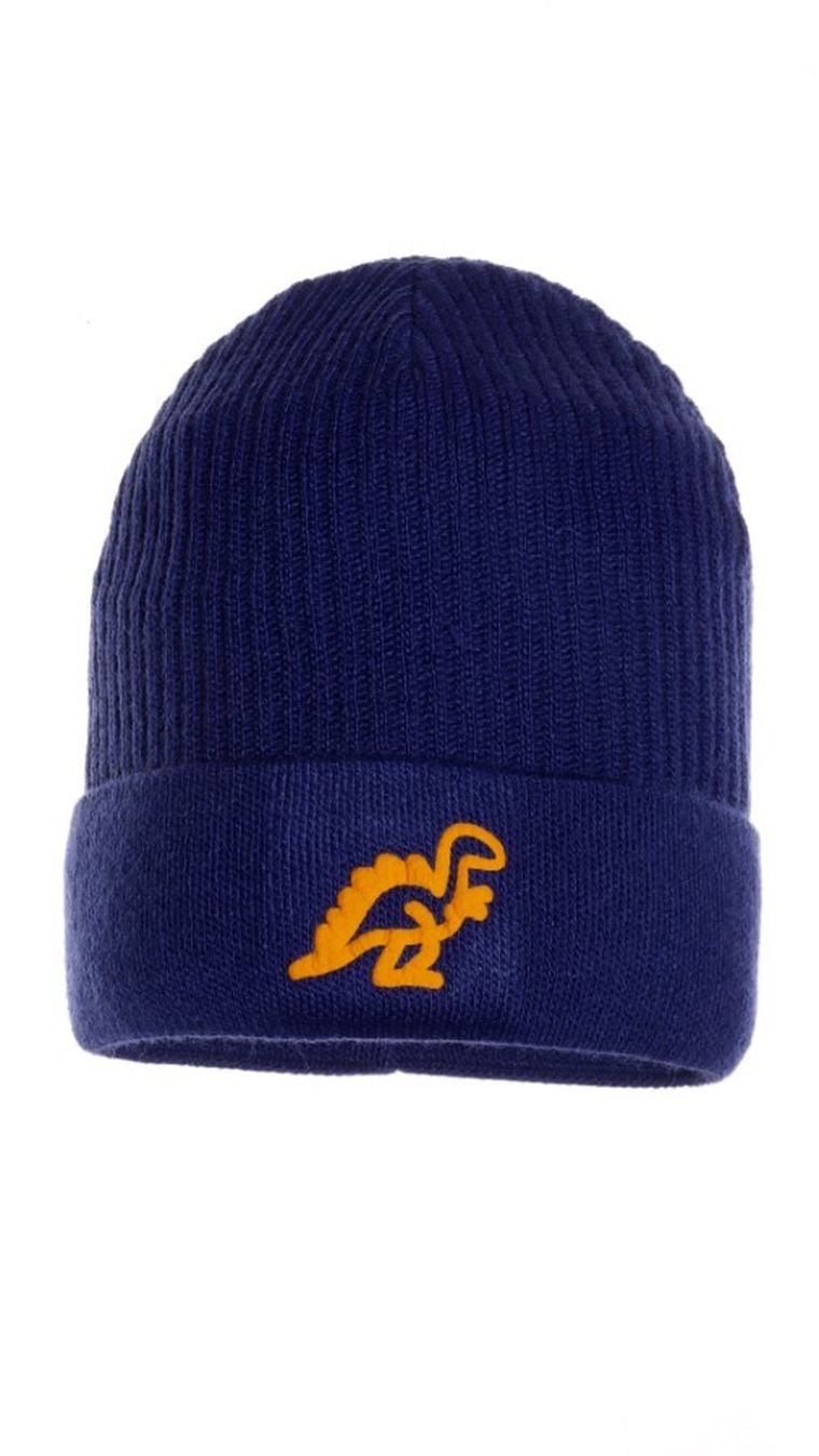 Czapka chłopięca, granatowa, Ambra