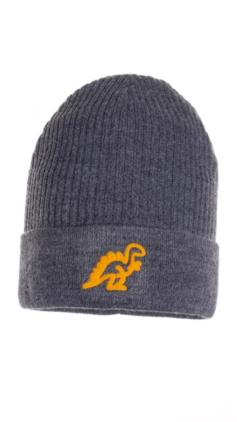 Czapka chłopięca, szara, Ambra