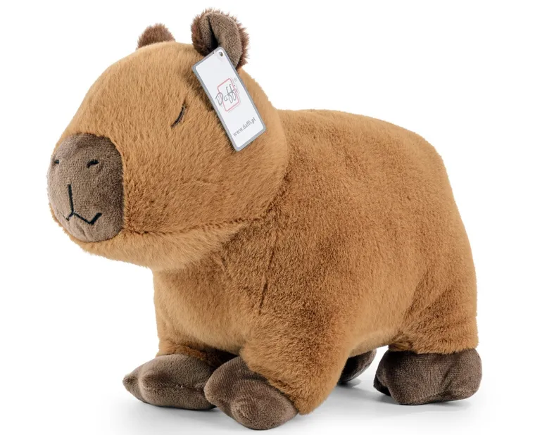 Daffi, Kapibara, maskotka, 25 cm