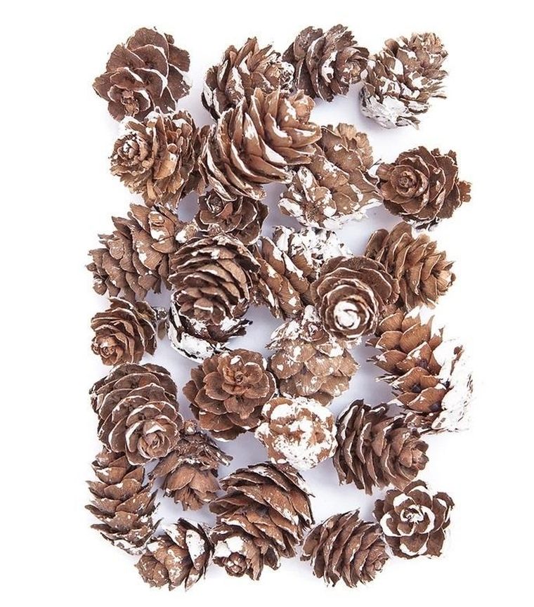 Dalprint, mini szyszki, bielone, 25g