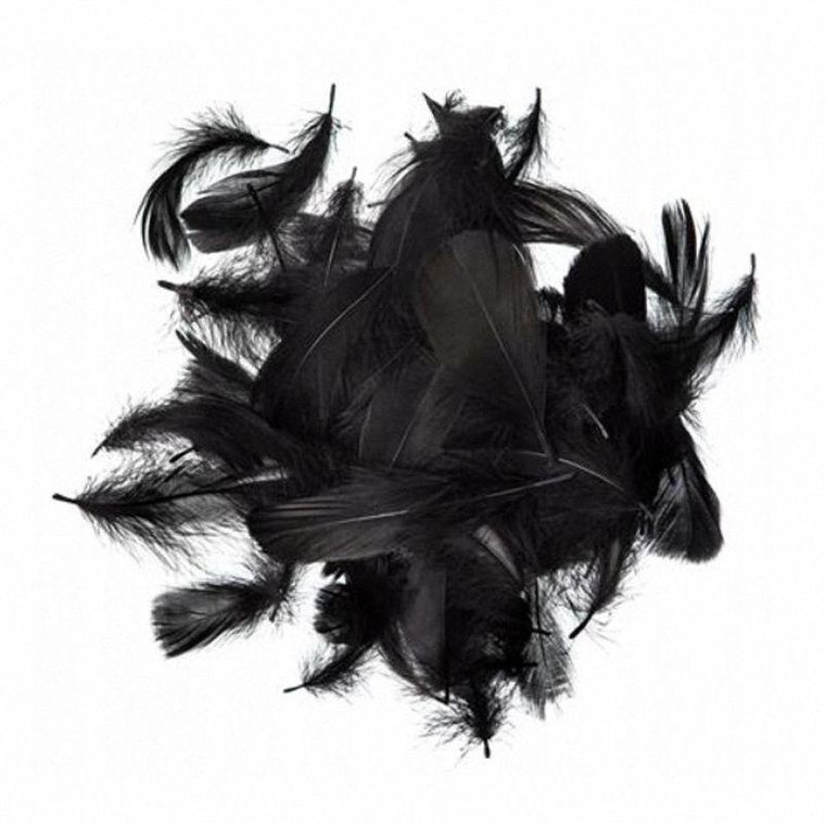 Dalprint, piórka, czarne, 5-12 cm, 10g