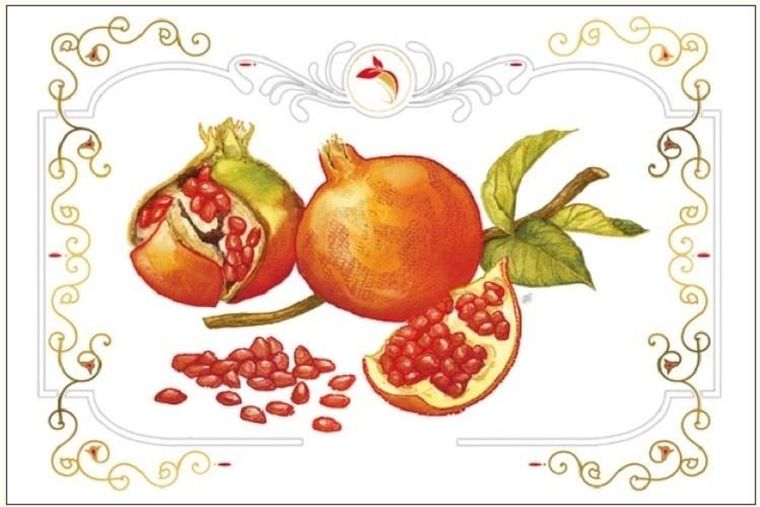 DaVinci, karnet z kopertą, Granat, 12-18 cm