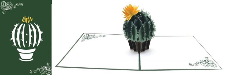 DaVinci, karnet z kopertą Pop-Up, 12-18 cm, Kaktus