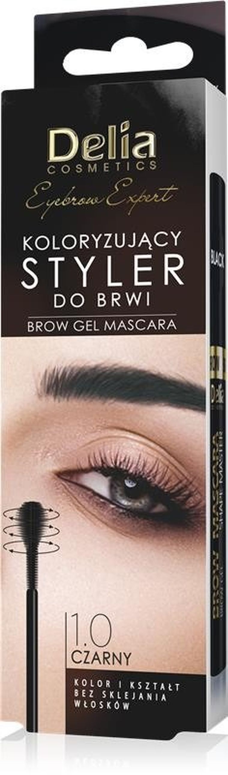 Delia Cosmetics, Eyebrow Expert, koloryzujący styler do brwi, 1.0 czarny, 11 ml