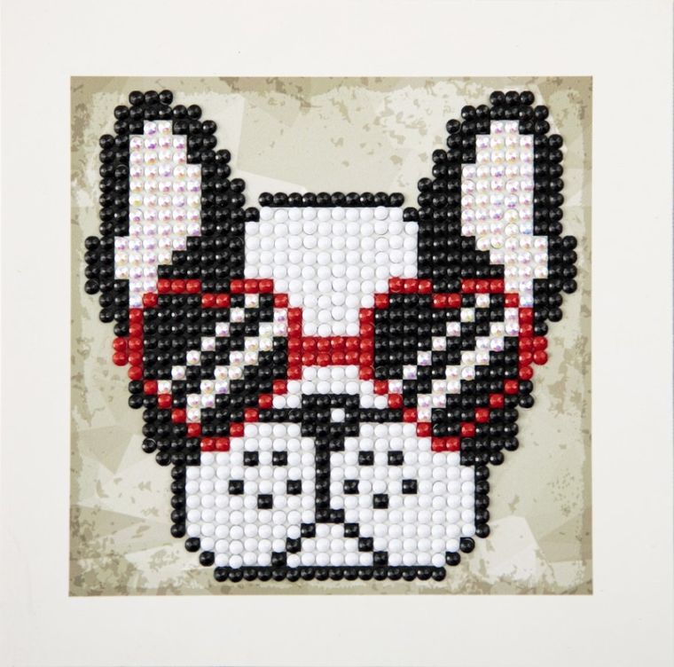 Diamond Dotz, diamentowa mozaika, Cool sunnies, Quick Dotz