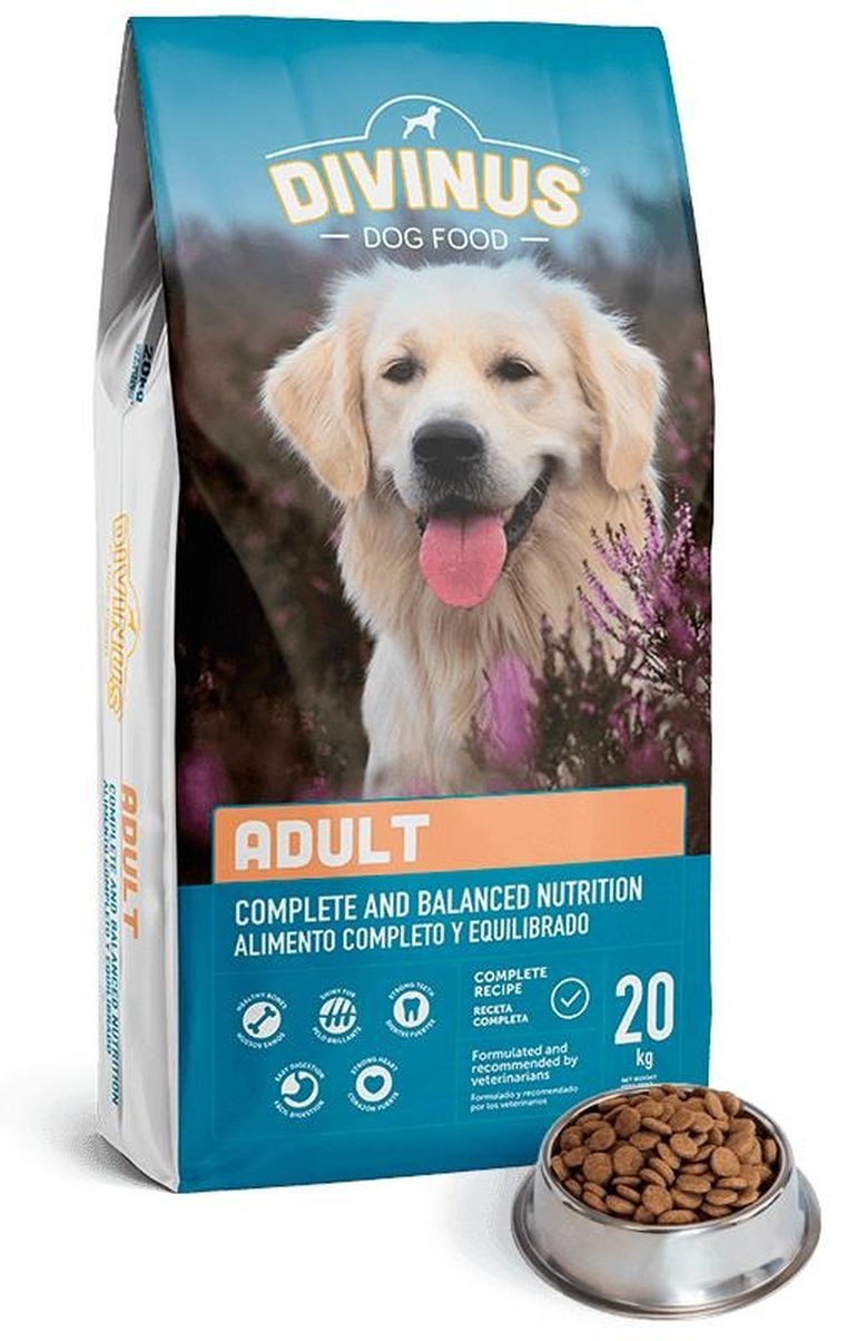 Divinus, Adult, karma sucha dla psów dorosłych, 20 kg