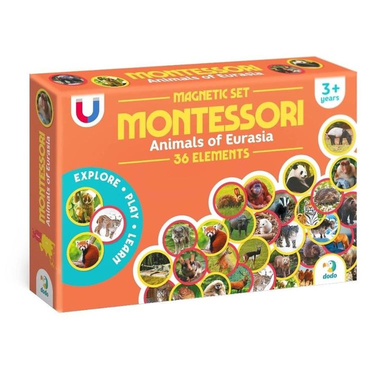 Dodo, zestaw magnesów Montessori, Zwierzęta Eurazji