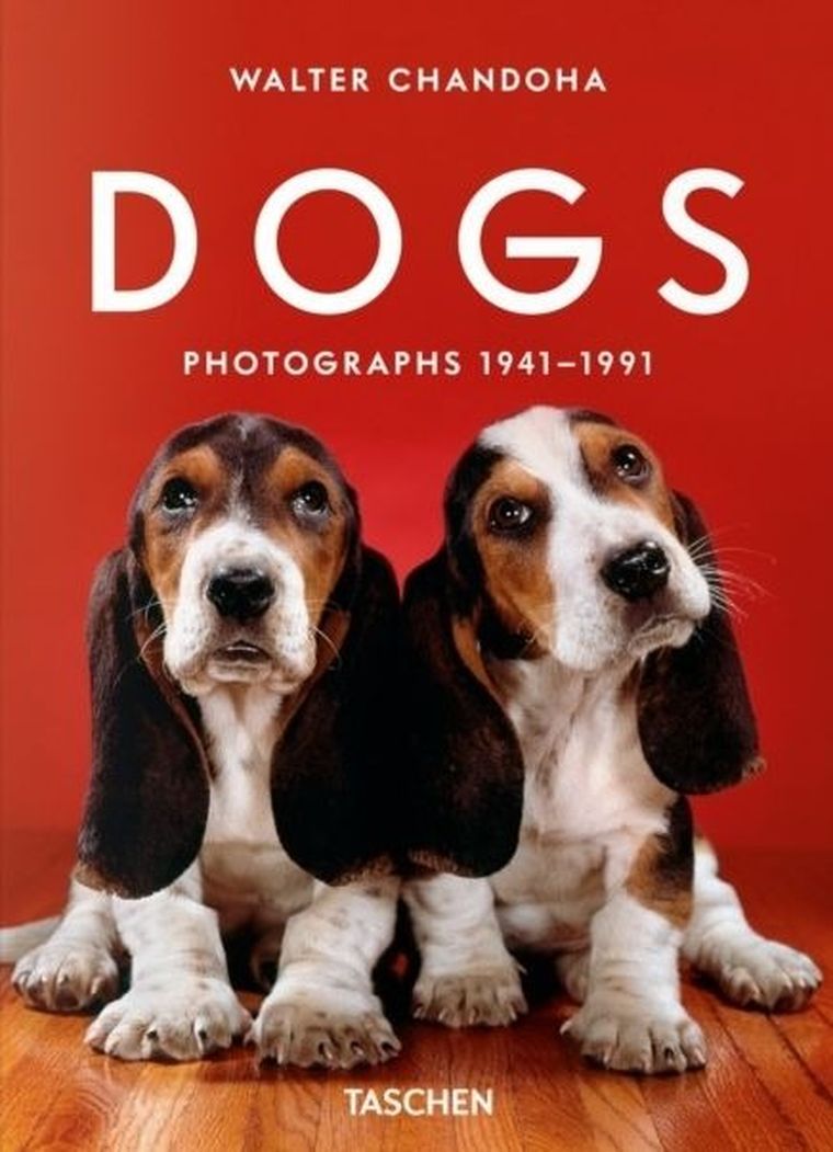 Dogs. Photographs 1941–1991