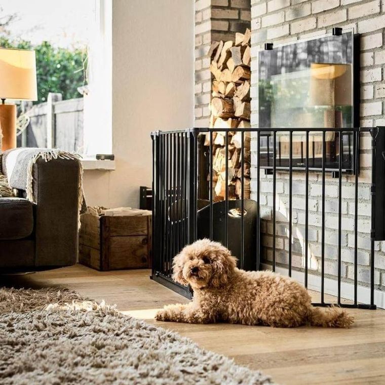 DogSpace, Max L, przykręcana bramka dla psa, czarna, 90-223 cm