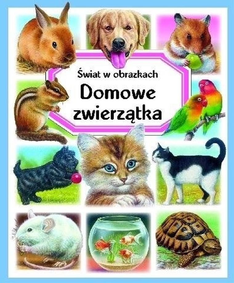 Domowe zwierzątka. Świat w obrazkach