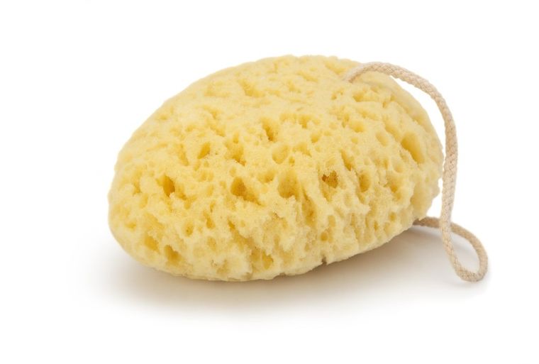 Donegal, gąbka do mycia, owalna