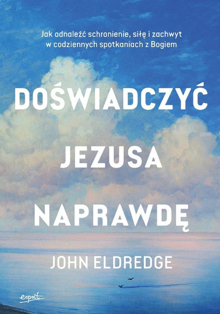 Doświadczyć Jezusa naprawdę. Jak odnaleźć schronienie, siłę i zachwyt w codziennych spotkaniach z Bogiem