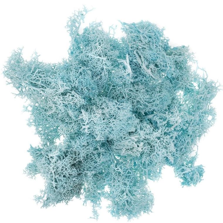 DP Craft, mech turkusowy, 30g