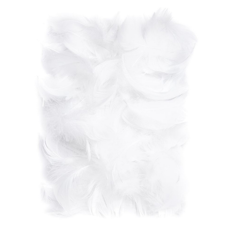 DP Craft, piórka białe, 5-12cm, 10g