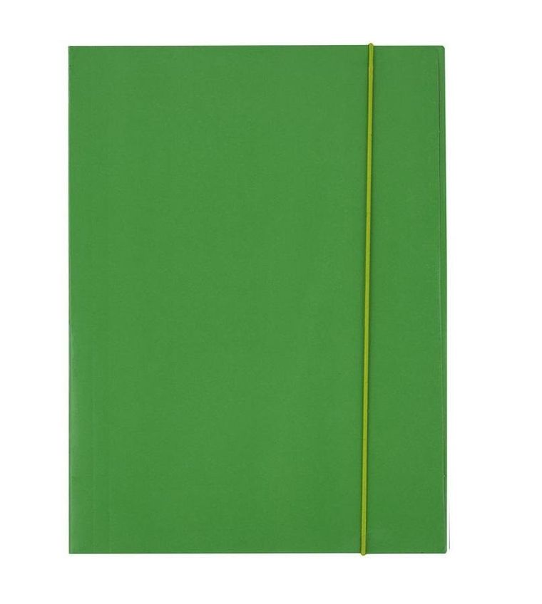 D.rect, teczka kartonowa z gumką, A4, zielona, 300g, 1 szt.