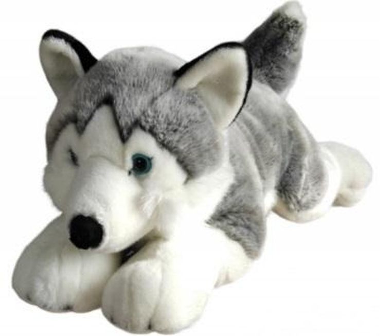 Dubi, Husky, maskotka, 62 cm