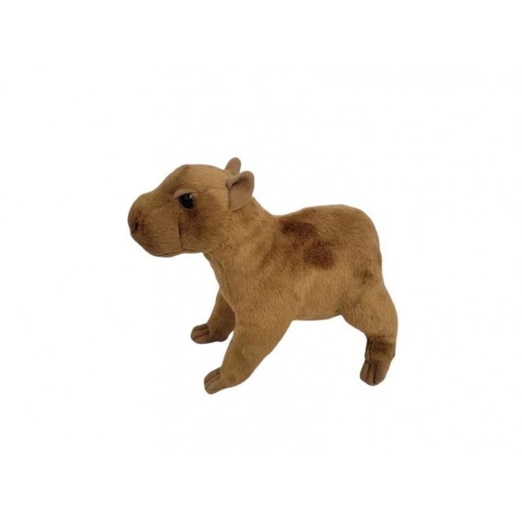 Dubi, Kapibara, maskotka, 20 cm