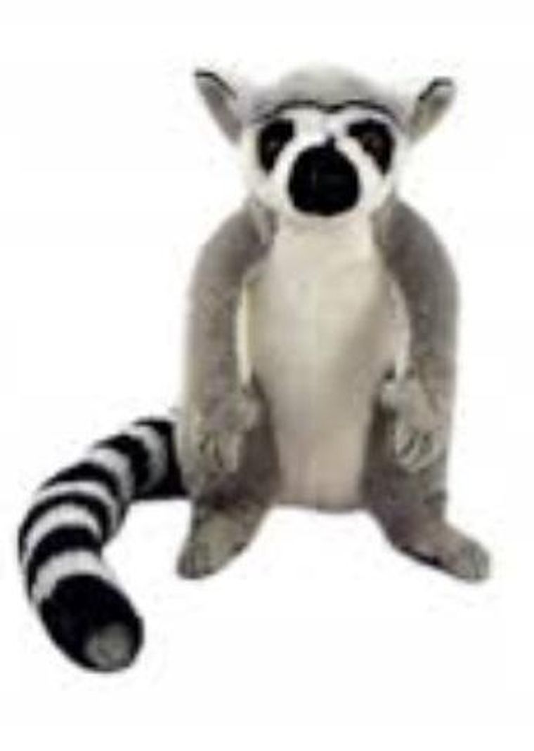 Dubi, Lemur, maskotka, 22 cm