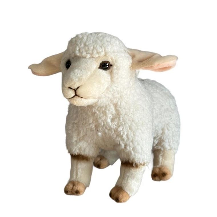 Dubi, Owca, maskotka, 23 cm