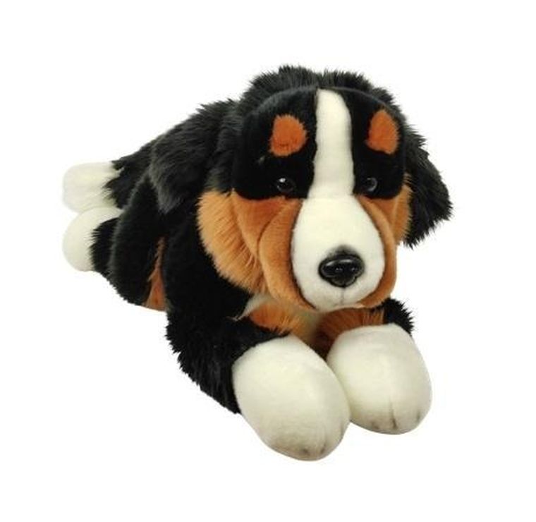 Dubi, Pies Berneński, maskotka, 30 cm