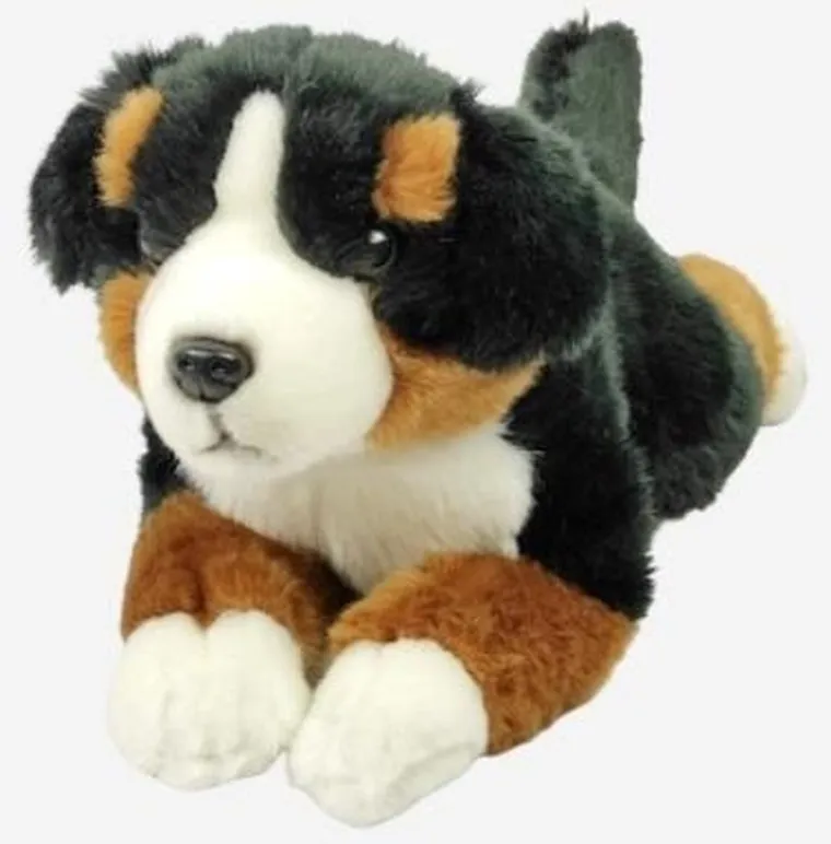 Dubi, Pies berneński, maskotka, 40 cm