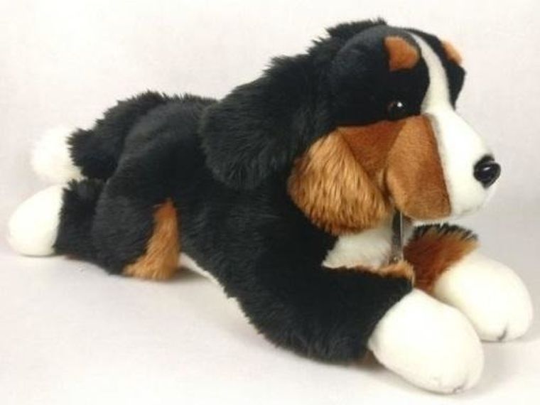 Dubi, Pies berneński, maskotka, 61 cm