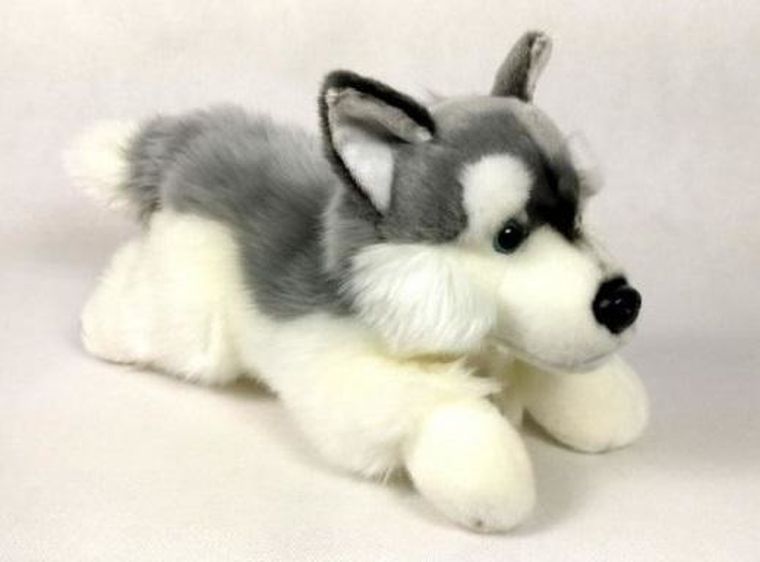 Dubi, Pies Husky, maskotka, 30 cm