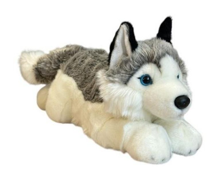 Dubi, pies husky, maskotka, 42 cm