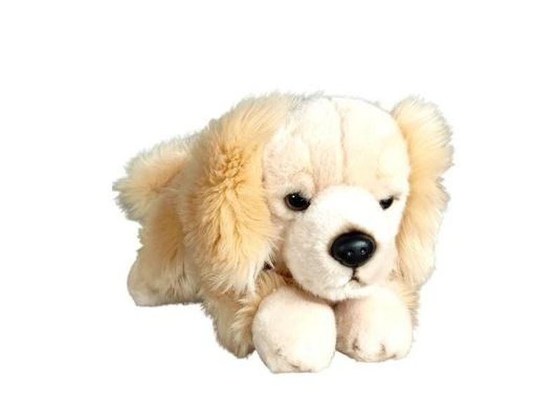 Dubi, Pies Retriver leżący, maskotka, 30 cm