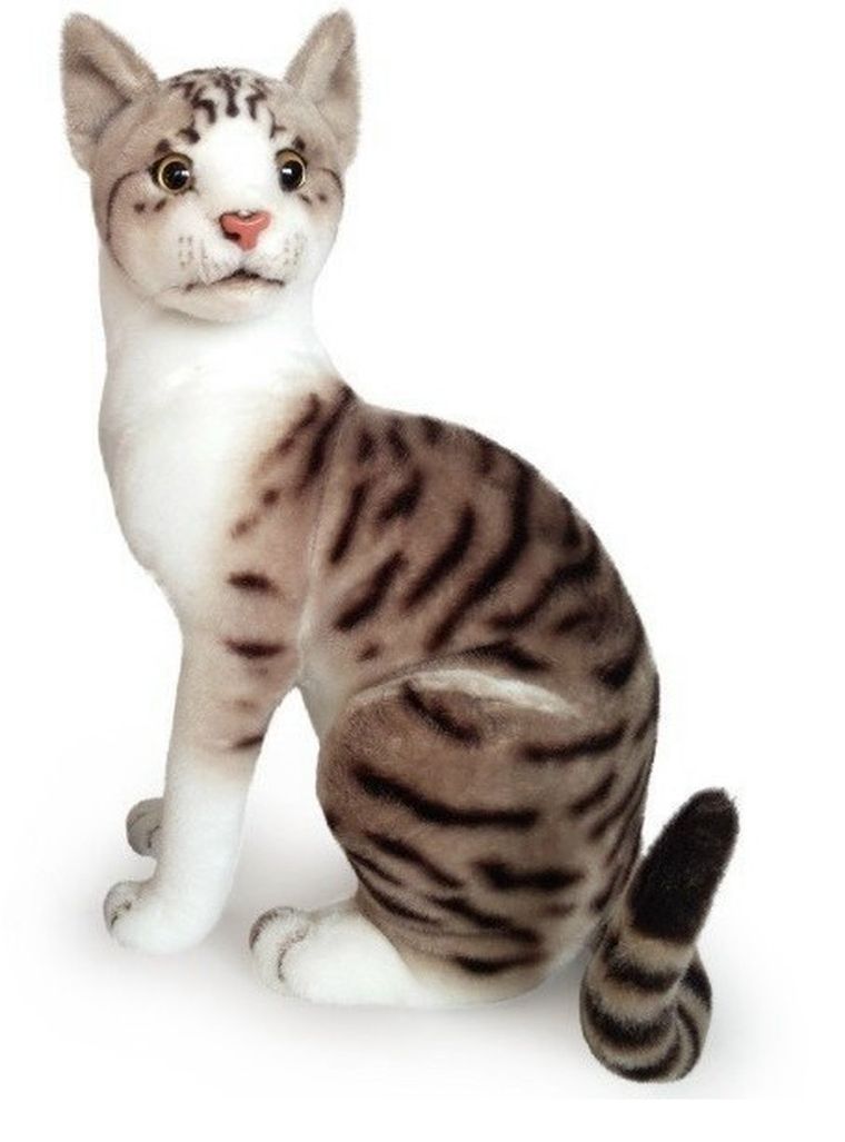 Dubi Plusz, kot siedzący, białoszary, maskotka, 30 cm