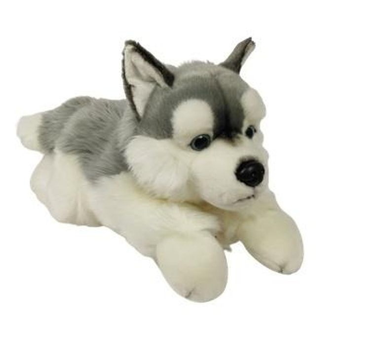 Dubi Plusz, Pies husky leżący, maskotka, 61 cm
