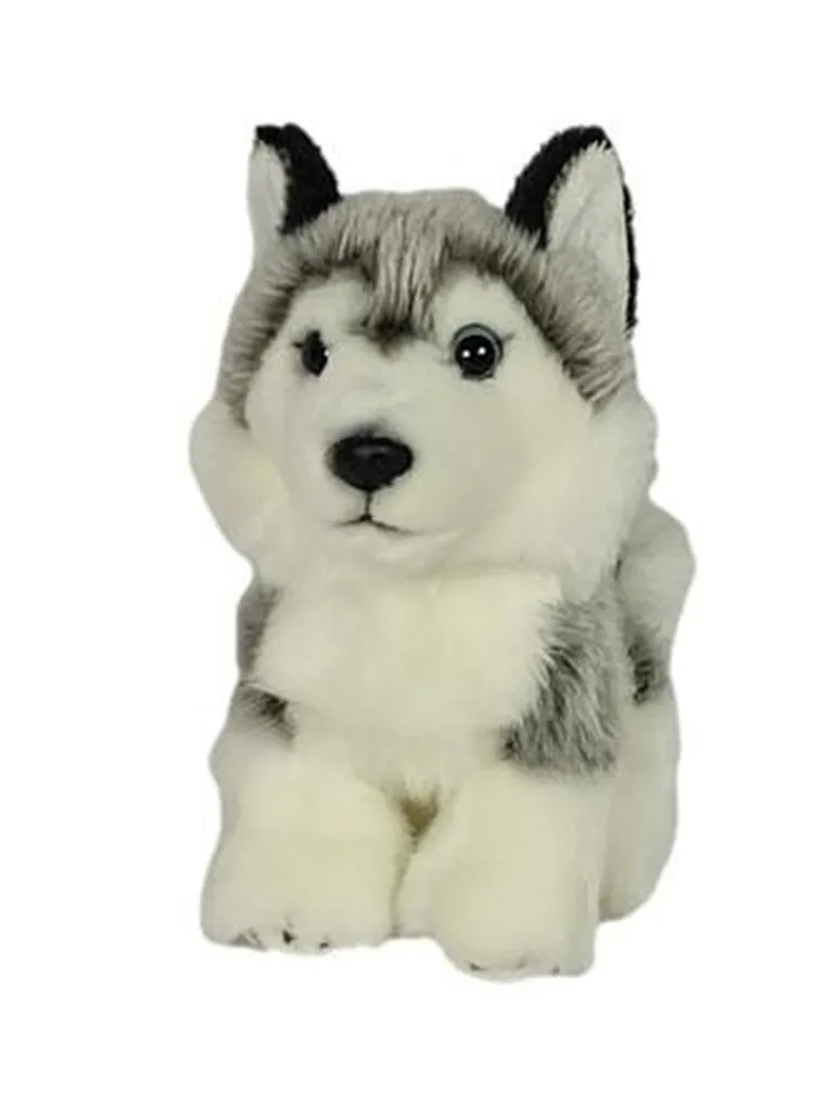 Dubi Plusz, Pies husky, maskotka, 19 cm