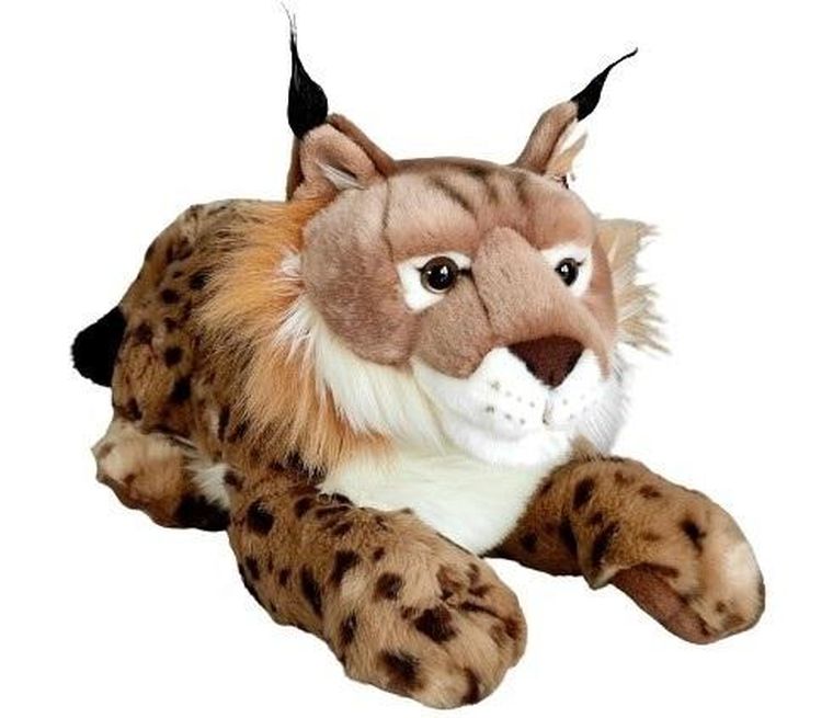 Dubi, Ryś, maskotka, 50 cm