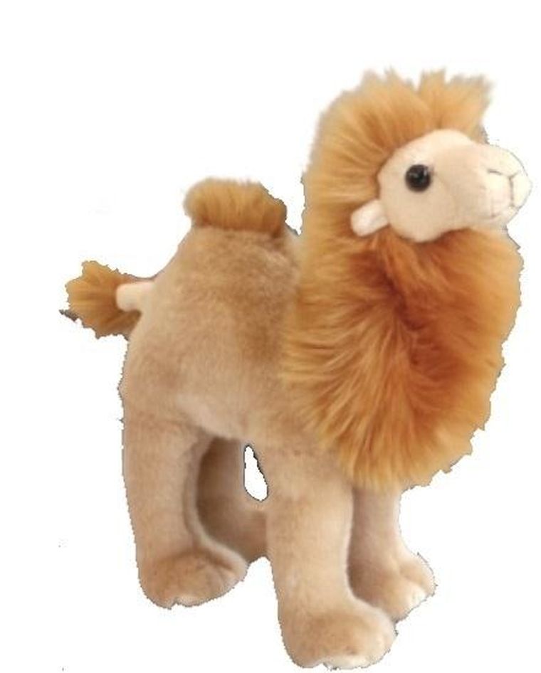 Dubi, Wielbłąd stojący, maskotka