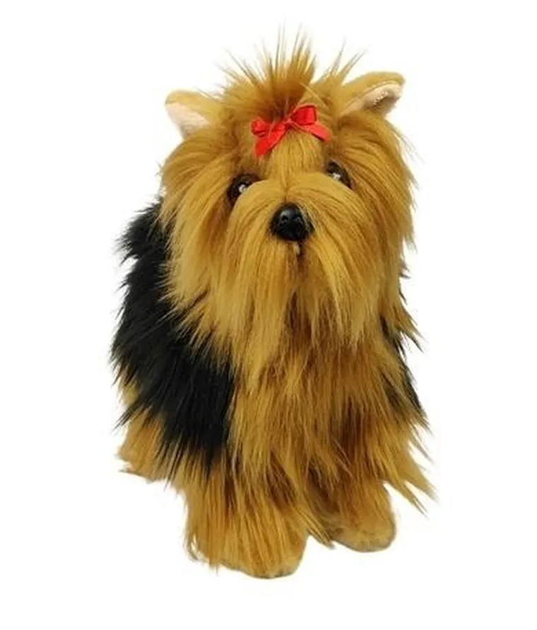 Dubi, Yorkshire Terrier, pies, maskotka, 30 cm