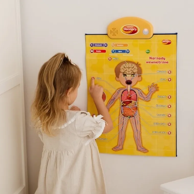 Dumel Discovery, Człowiek, edukacyjne plakaty interaktywne