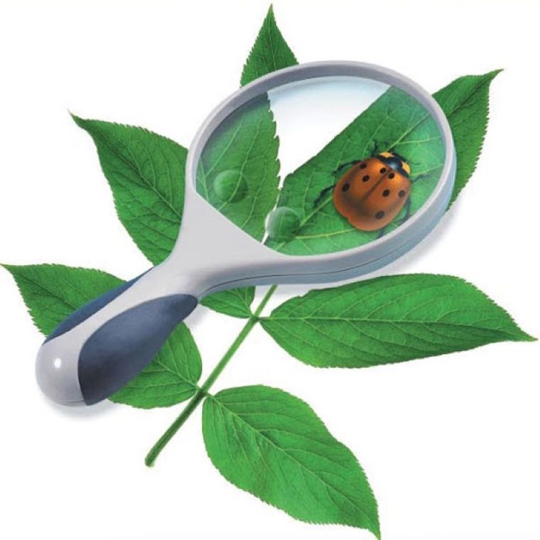 Edu Toys, lupa, 10 cm