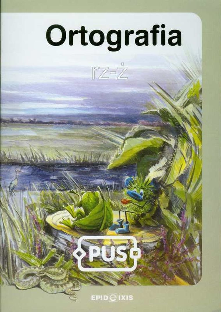 Edukacja wczesnoszkolna. PUS Ortografia rz-ż