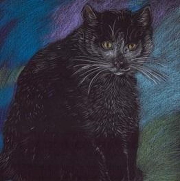 Emg, notes, kot pastelowy, 1 szt.