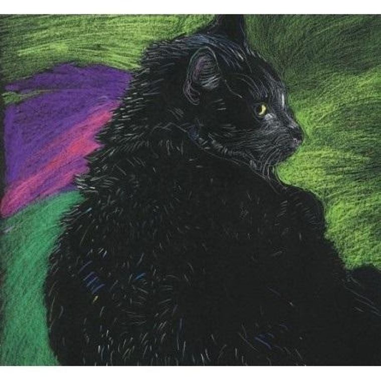 Emg, notes, kot zielony, 1 szt.