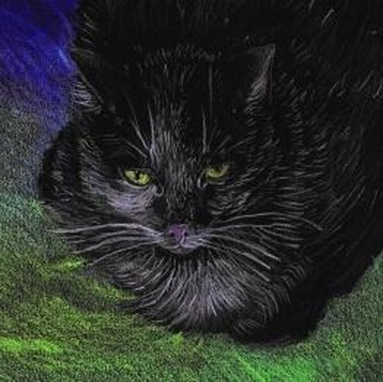 Emg, notes, koty ekologiczne, 1 szt.