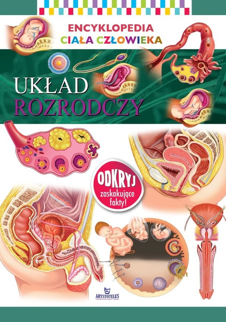 Encyklopedia ciała człowieka. Układ rozrodczy