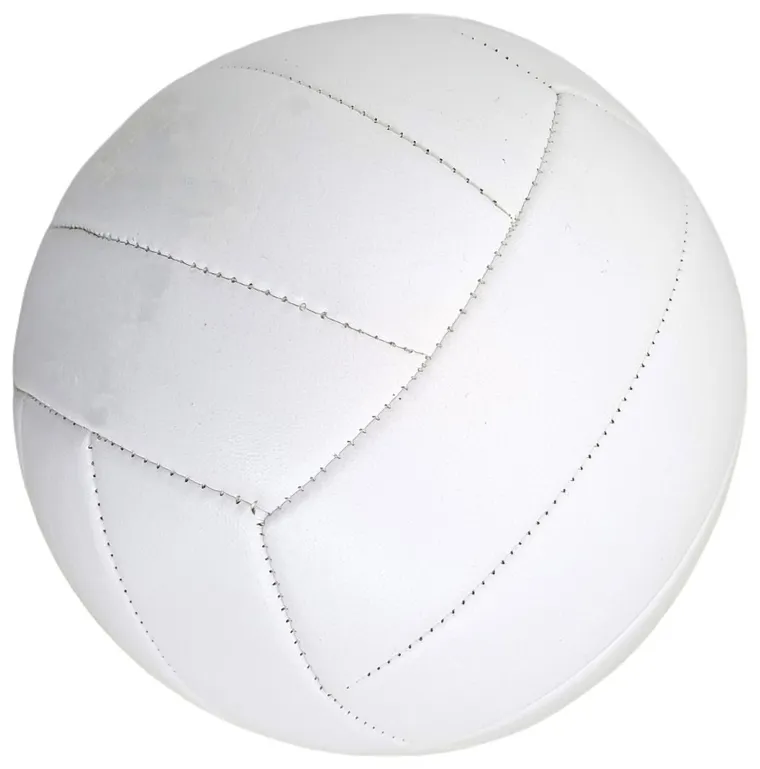 Enero, Pro, piłka siatkowa