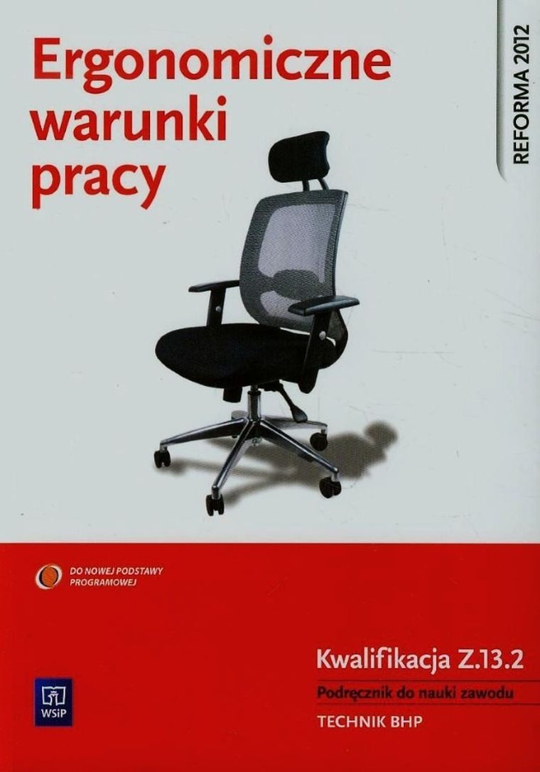 Ergonomiczne warunki pracy. Podręcznik do nauki zawodu Technik BHP. Kwalifikacja Z.13.2