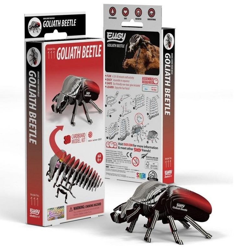 Eugy, układanka 3D, Chrząszcz Goliat
