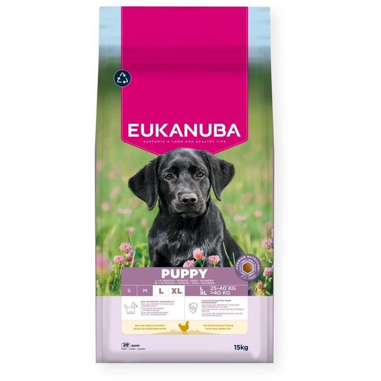 Eukanuba, Puppy Large rich in chicken, karma sucha dla psa, 15 kg