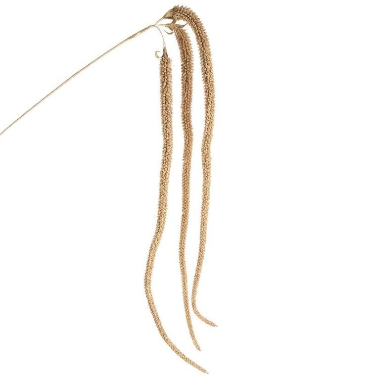 Eurofirany, gałązka świąteczna dekoracyjna, 10-70 cm, złoty