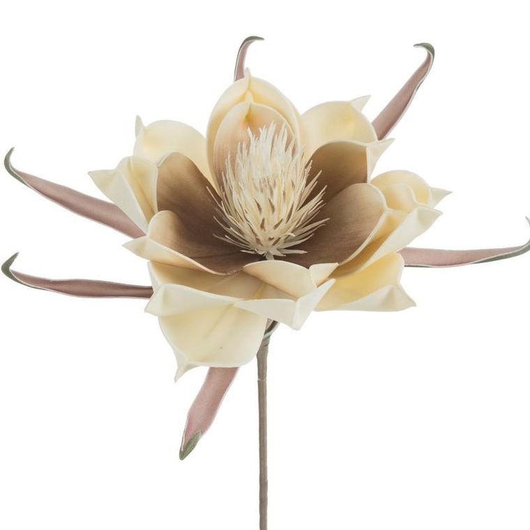 Eurofirany, kwiat flore, 65 cm, kremowy